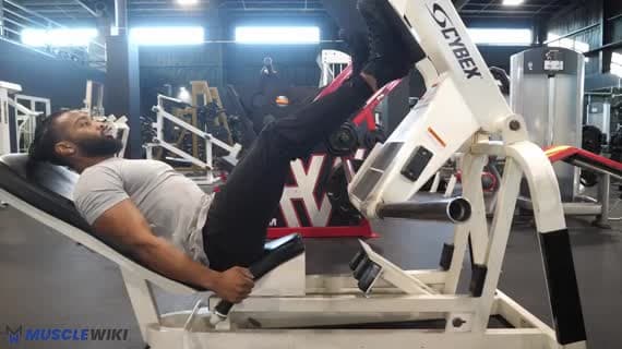 Makine Squat Press