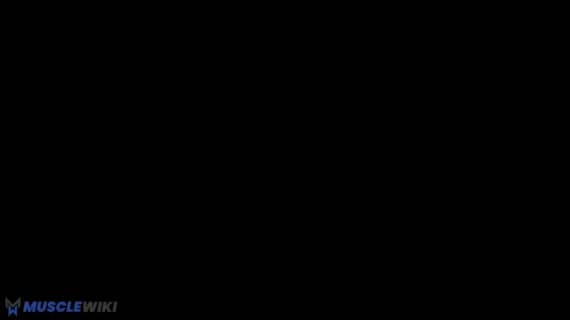 پرس سینه با دستهای موازی