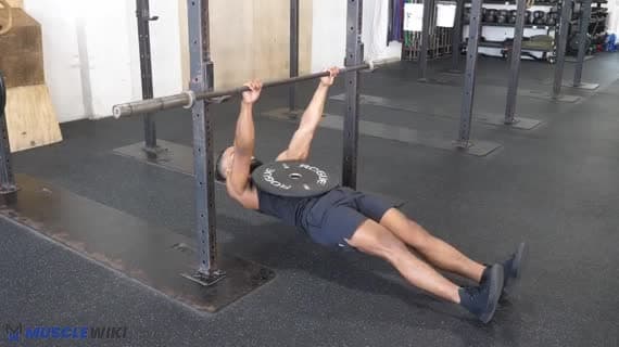 Rowing inversé avec poids sur le plateau