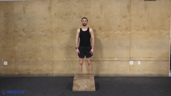 Jump On And Off Box