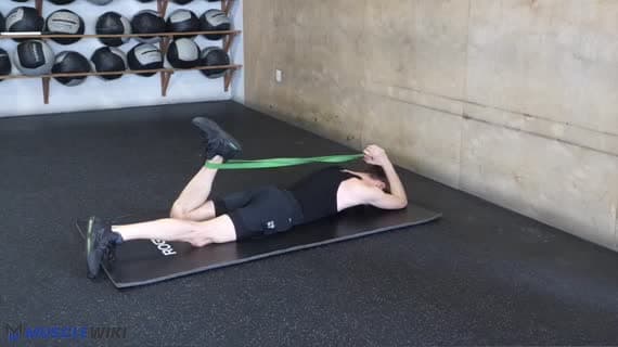 Stretch Quad da Terra con Fascia