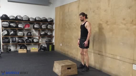 Körpergewicht Step-up mit Knieantrieb