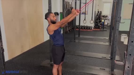 Hammer-Curl mit hoch fixiertem Widerstandsband