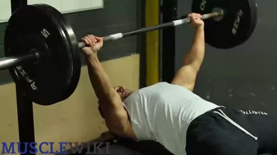 Barbell Bench Press