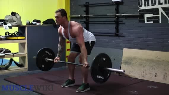 Rowing à la barre (buste penché)