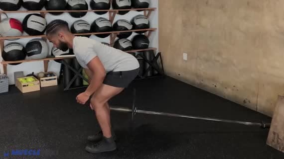 Rowing landmine à la barre (prise longue)