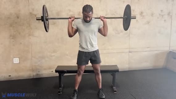 Halterli Duraklamalı Box Squat