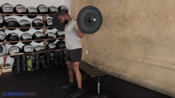 Halterli Duraklamalı Box Squat