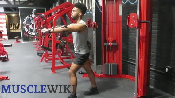 Cable Chest Press