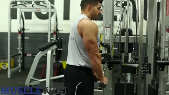Kablo Makinesinde V-Bar Triceps Pushdown