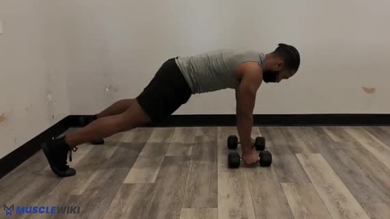 Rematore In Plank Con Manubri