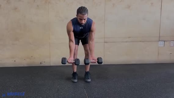 Rowing à l'haltère en supination