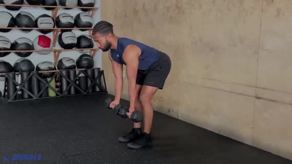 Rowing à l'haltère en supination