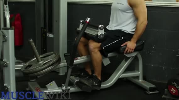 Machine Seated Calf Raises