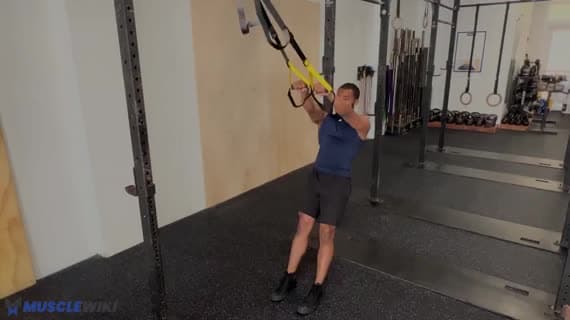 TRX Elevación en I
