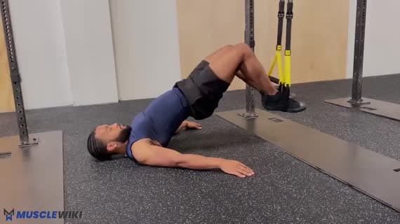 TRX Beinbeuger-Curl