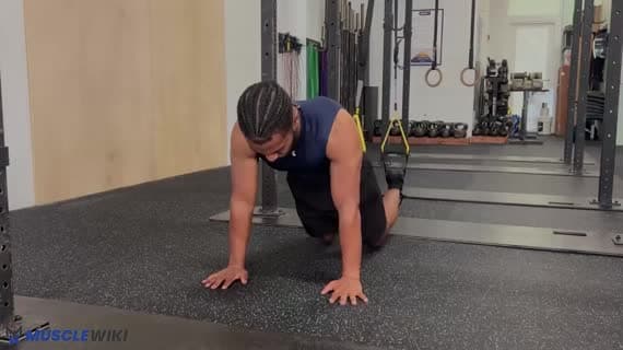 TRX Plank (auf den Händen)
