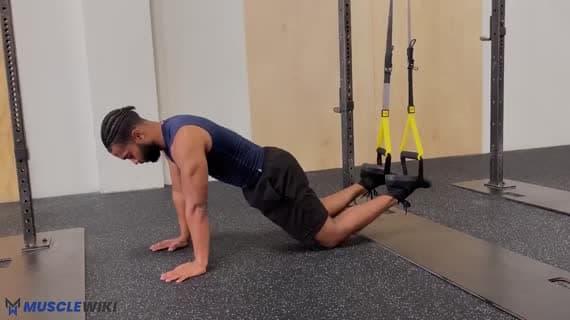 TRX Plank (auf den Händen)