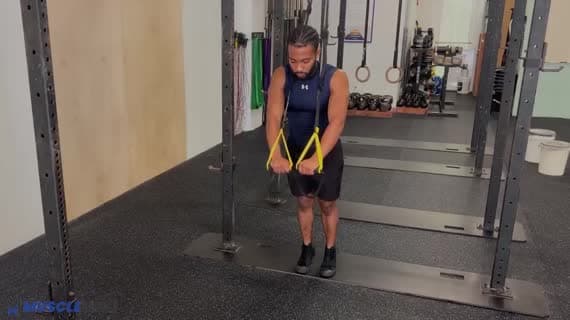 Flexión en TRX