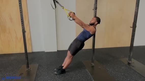 TRX Reverse Fly (hintere Schulter)