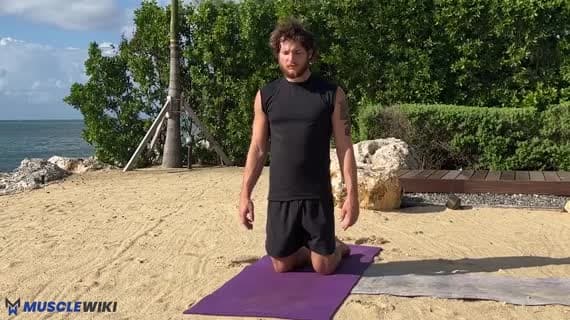 Table Top Pose Variation 3