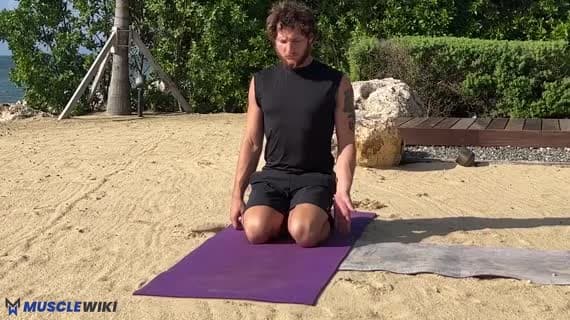 Vajrasana Variation 1