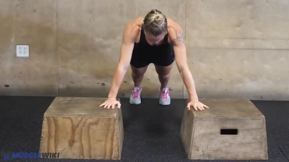 Bodyweight Elevated Push Up