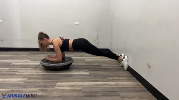 Bosu Ball Forearm Plank