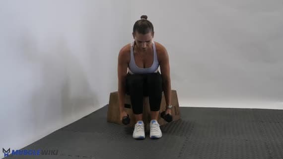 Dumbbell Seated Rear Delt Fly