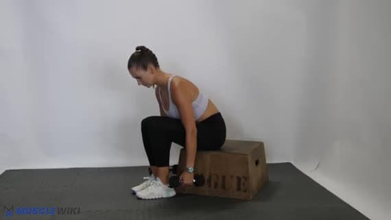 Dumbbell Seated Rear Delt Fly