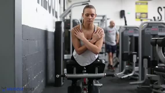 Machine 45 Degree Back Extension