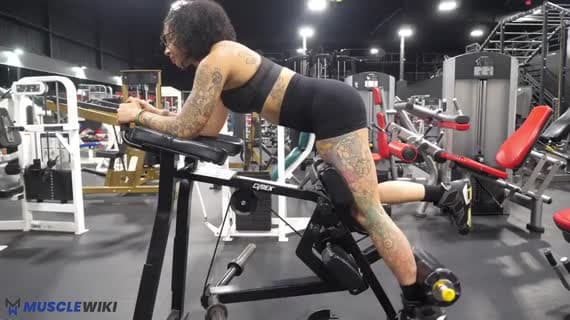 Machine Plate Loaded Kneeling Hamstring Curl