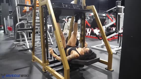 Vertical Leg Press