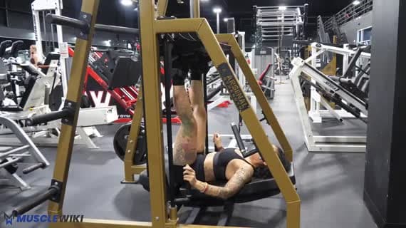 Vertical Leg Press