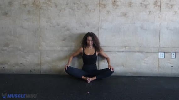 Adductor Stretch Seated Bilateral Static