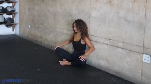 Adductor Stretch Seated Bilateral Static