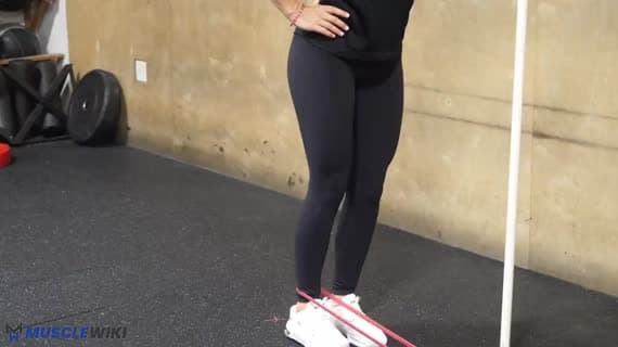 Band Glute Kickback Hold