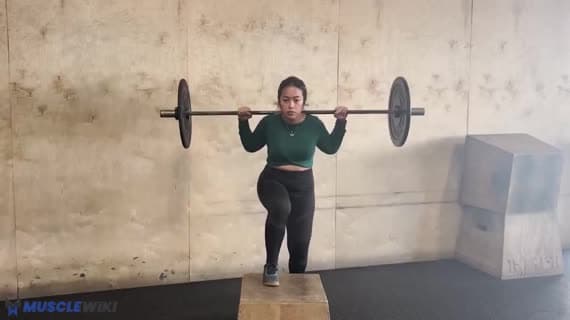 Barbell Step Up Balance
