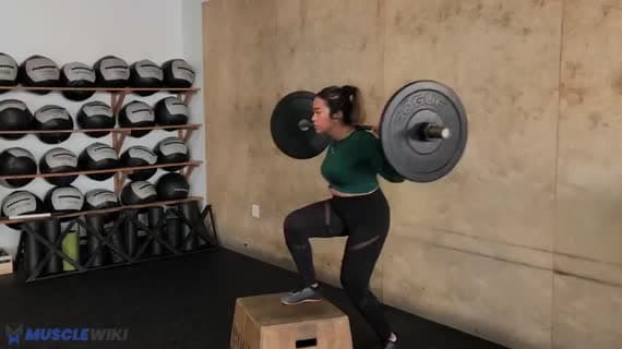 Barbell Step Up Balance