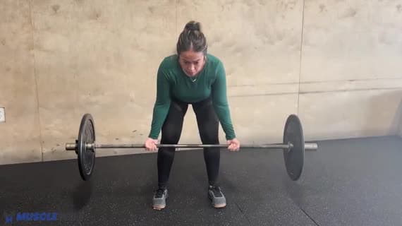 Barbell Supinated Row