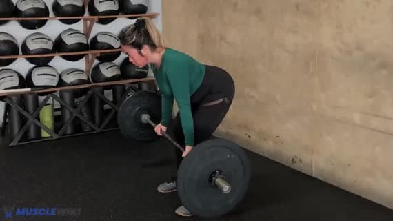 Barbell Supinated Row