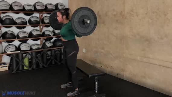 Barbell Tap Pause Squat