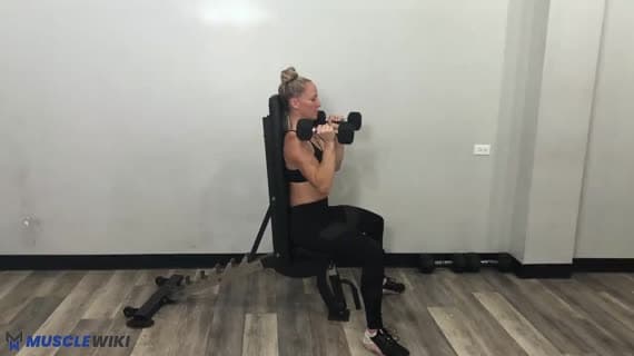 Dumbbell Neutral Seated Overhead Press