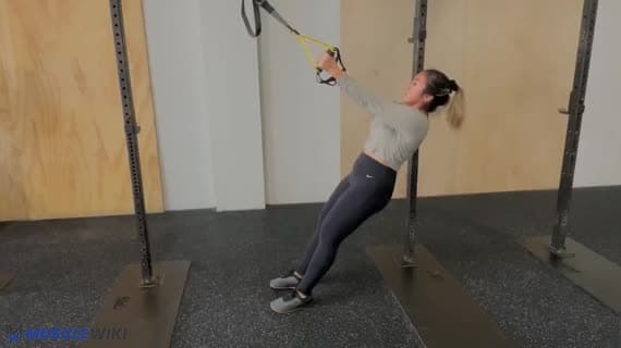 TRX Rear Delt Fly