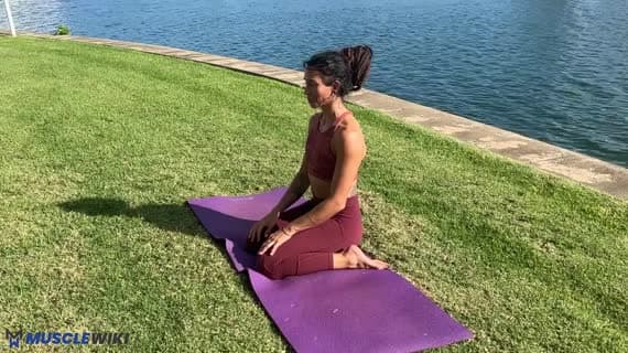 Seated Arm Stretch
