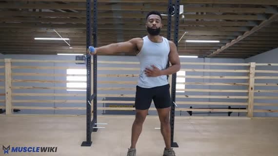 Band Single Arm Internally Rotated Chest Fly