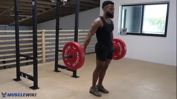 Barbell Behind The Back 30 Degree Shrug