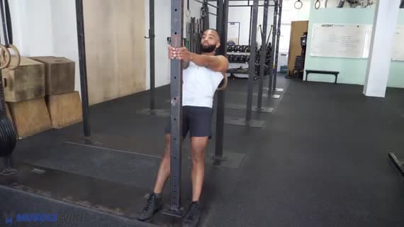 Австралийская тяга стоя