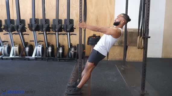 Австралийская тяга стоя