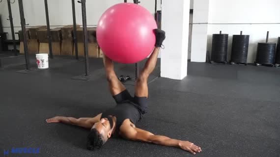 Stability Ball Windshield Wiper